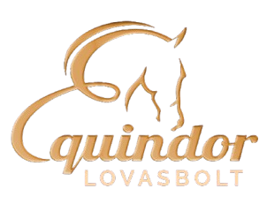 Equindor Lovasbolt